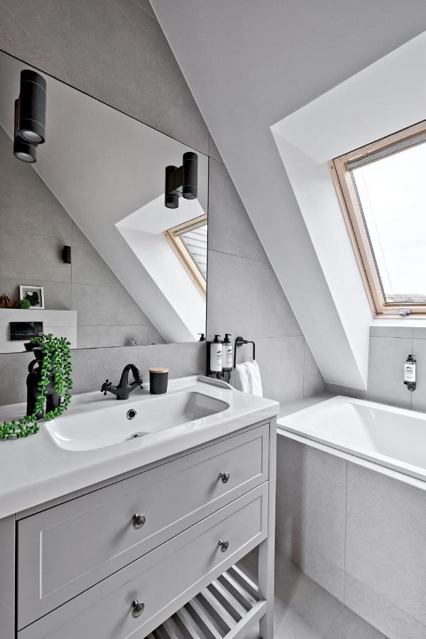 Apartment Attic